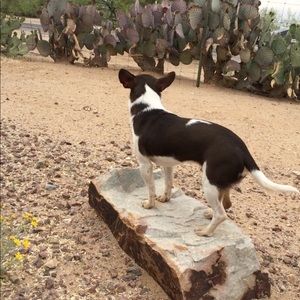 Meet your Posher, Lorene